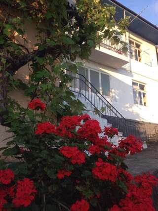 Гостевой дом Гора Гагра-0